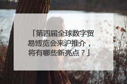 第四届全球数字贸易博览会来沪推介，将有哪些新亮点？