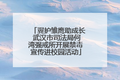 翼护雏鹰助成长 武汉市司法局何湾强戒所开展禁毒宣传进校园活动