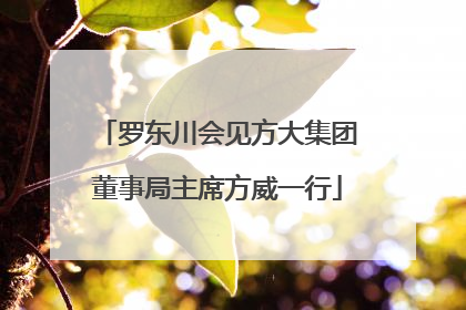 罗东川会见方大集团董事局主席方威一行