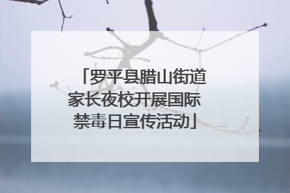 罗平县腊山街道家长夜校开展国际禁毒日宣传活动