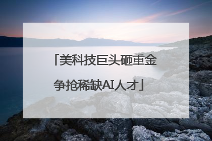 美科技巨头砸重金争抢稀缺AI人才