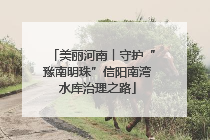 美丽河南丨守护“豫南明珠”信阳南湾水库治理之路