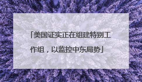 美国证实正在组建特别工作组，以监控中东局势