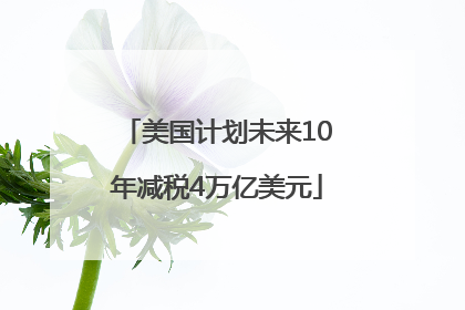 美国计划未来10年减税4万亿美元