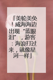 美轮美奂！威海海边出现“蓝眼泪”，游客：海浪打过来，就像星河一样