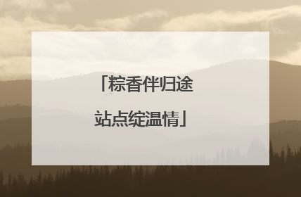粽香伴归途 站点绽温情