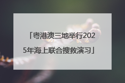 粤港澳三地举行2025年海上联合搜救演习