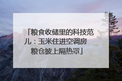 粮食收储里的科技范儿：玉米住进空调房 粮仓披上隔热罩