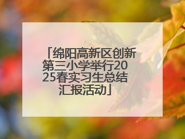 绵阳高新区创新第三小学举行2025春实习生总结汇报活动
