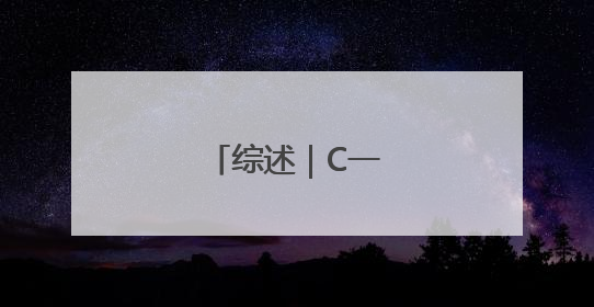 综述｜C一下，很长春