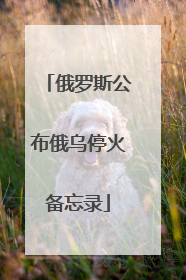 俄罗斯公布俄乌停火备忘录