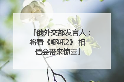 俄外交部发言人：将看《哪吒2》 相信会带来惊喜
