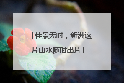 佳景无时，新洲这片山水随时出片