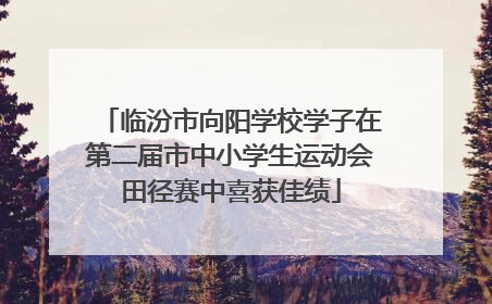 临汾市向阳学校学子在第二届市中小学生运动会田径赛中喜获佳绩