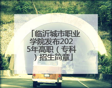 临沂城市职业学院发布2025年高职（专科）招生简章