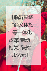 临沂围绕“商文体旅”等一体化改革 带动相关消费2.1亿元