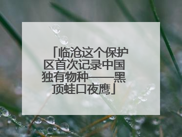 临沧这个保护区首次记录中国独有物种——黑顶蛙口夜鹰