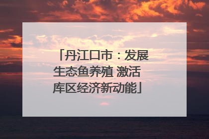 丹江口市：发展生态鱼养殖 激活库区经济新动能