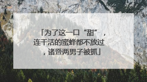 为了这一口“甜”，连干活的蜜蜂都不放过，诸暨两男子被抓
