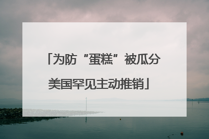 为防“蛋糕”被瓜分 美国罕见主动推销
