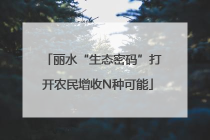 丽水“生态密码”打开农民增收N种可能