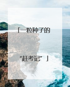 一粒种子的“赶考记”