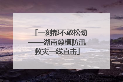 一刻都不敢松劲——湖南桑植防汛救灾一线直击