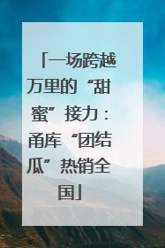 一场跨越万里的“甜蜜”接力：甬库“团结瓜”热销全国
