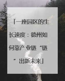 一座园区的生长速度：德州如何靠产业链“链”出新未来