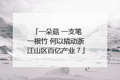 一朵菇 一支笔 一根竹 何以撬动浙江山区百亿产业？