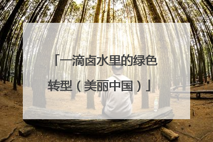 一滴卤水里的绿色转型（美丽中国）