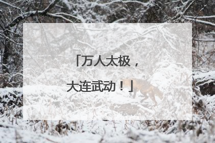 万人太极，大连武动！