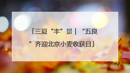 三夏“丰”景｜“五良”齐迎北京小麦收获日