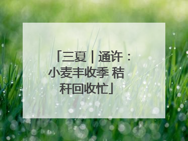三夏｜通许：小麦丰收季 秸秆回收忙