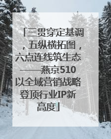 三贯穿定基调，五纵横拓图，六点连线筑生态——燕京510以全域营销战略登顶行业IP新高度