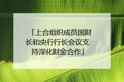 上合组织成员国财长和央行行长会议支持深化财金合作