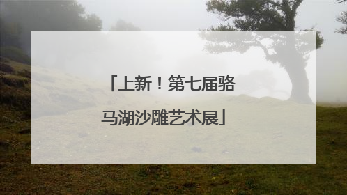上新！第七届骆马湖沙雕艺术展