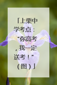 上栗中学考点：“你高考，我一定送考！”（图）