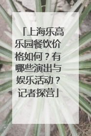 上海乐高乐园餐饮价格如何？有哪些演出与娱乐活动？记者探营