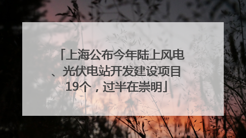 上海公布今年陆上风电、光伏电站开发建设项目19个，过半在崇明