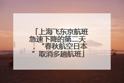 上海飞东京航班急速下降的第二天，“春秋航空日本”取消多趟航班
