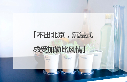不出北京，沉浸式感受加勒比风情