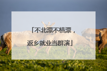不北漂不横漂，返乡就业当群演