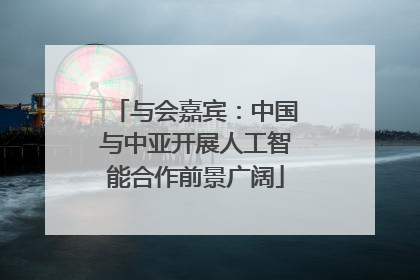 与会嘉宾：中国与中亚开展人工智能合作前景广阔