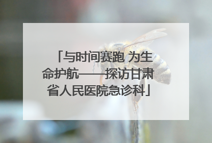 与时间赛跑 为生命护航——探访甘肃省人民医院急诊科