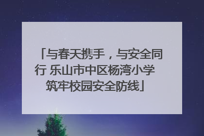 与春天携手，与安全同行 乐山市中区杨湾小学筑牢校园安全防线