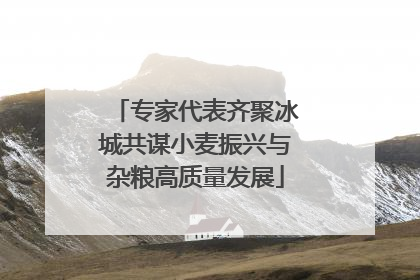 专家代表齐聚冰城共谋小麦振兴与杂粮高质量发展