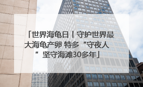 世界海龟日丨守护世界最大海龟产卵 特多“守夜人”坚守海滩30多年