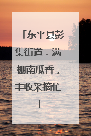 东平县彭集街道：满棚南瓜香，丰收采摘忙