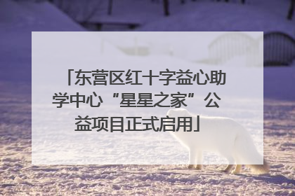 东营区红十字益心助学中心“星星之家”公益项目正式启用